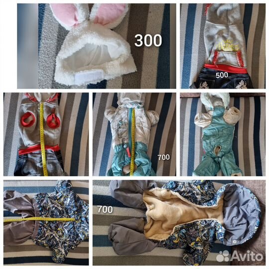 Костюмы для собак (мальчик)