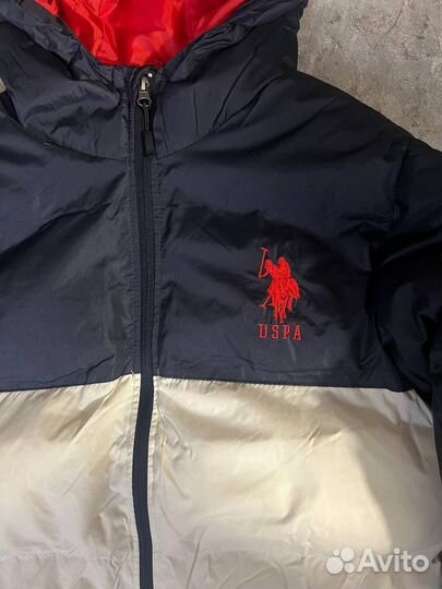 US polo Assn оригинал