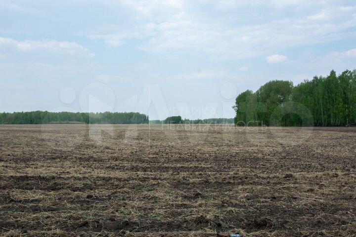 Участок 80 сот. (СНТ, ДНП)