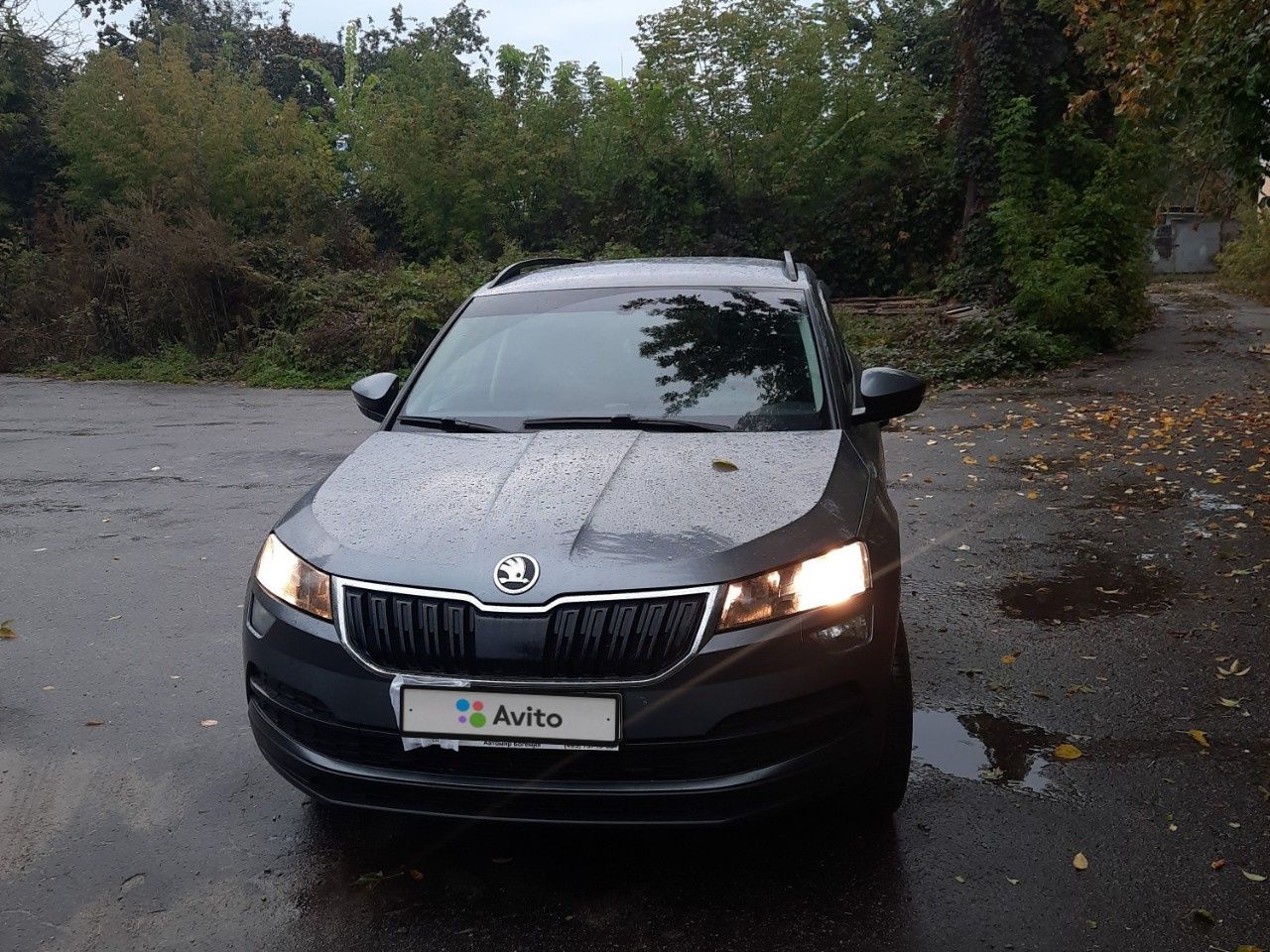 Skoda Karoq: фото владельца