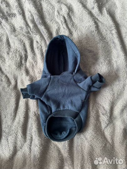 Одежда для маленьких собак