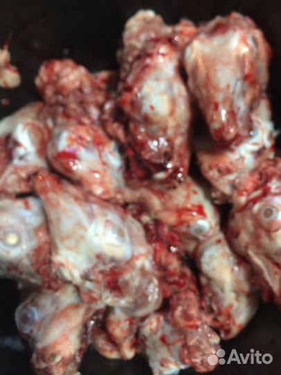 Корм для собак