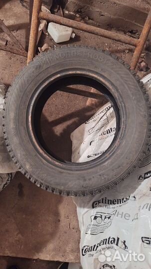 Gislaved Nord Frost 200 175/70 R14