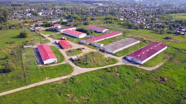 ПСН в черте города