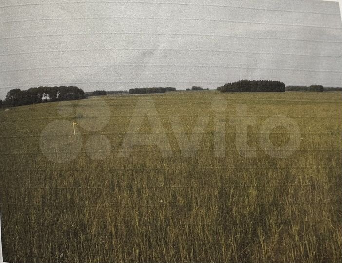 Участок 8 сот. (ИЖС)