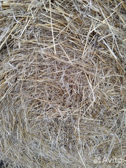 Солома, сено в мешках