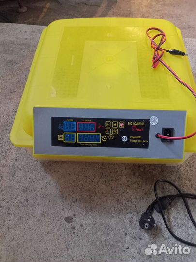 Инкубатор