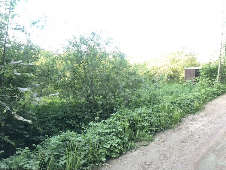 Участок 8,7 сот. (СНТ, ДНП)