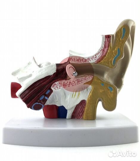 Микронаушники premium, аренда