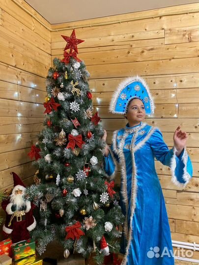 Дед Мороз и Снегурочка на дом