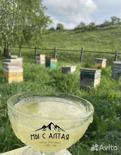 Акациевый мед 2024