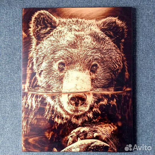 Новый Пиропринтер Х с полем 42*50/42*90см (до А2)