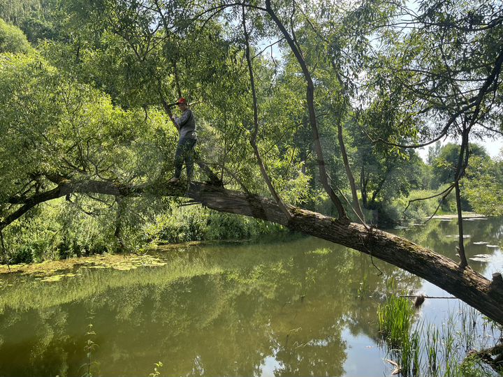 Участок 25 сот. (СНТ, ДНП)
