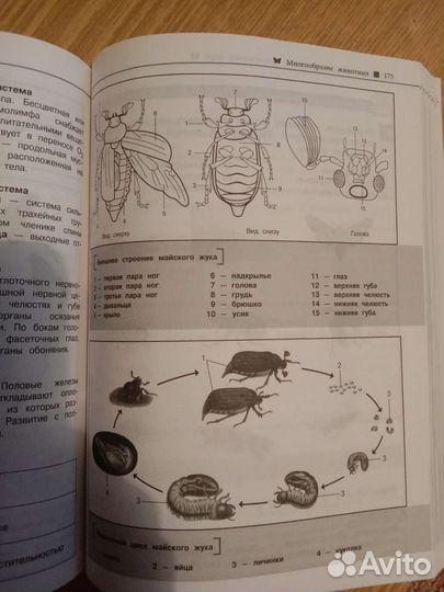 Книга справочник для подготовки к огэ, егэ