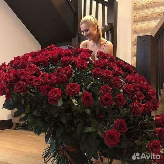 101 роза цветы букеты доставка 25 51 101 роза