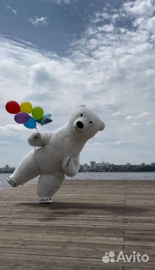 Шары/Поздравление белого мишки/Клубника в шоколаде