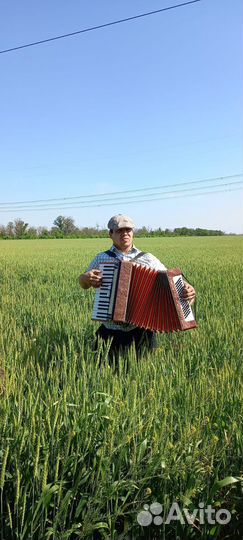Аккордеонист баянист гармонист на праздники
