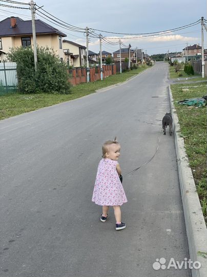 Стаффорд вязка