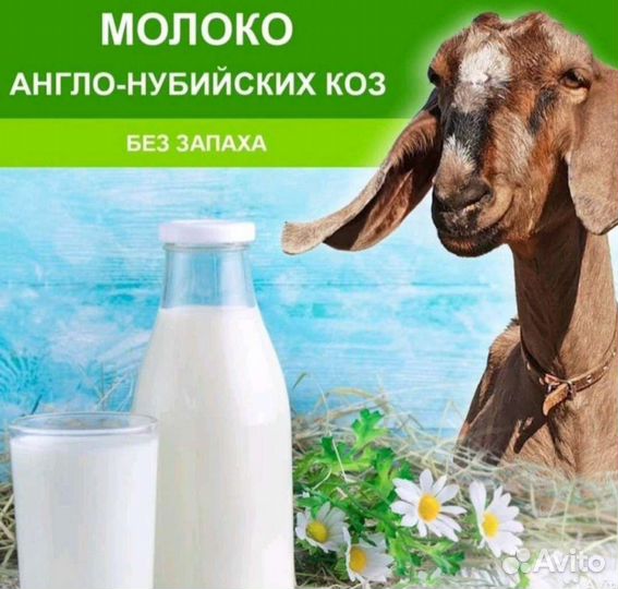 Козье молоко