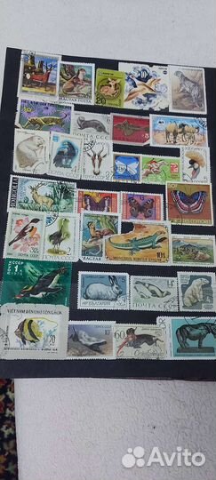 Альбом с марками СССР