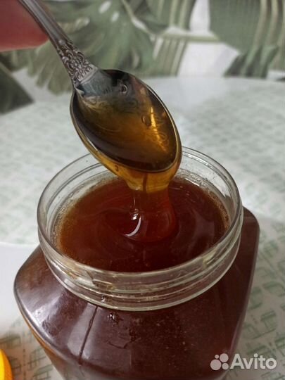 Свежий мёд 2023 год. И мёд 2022год