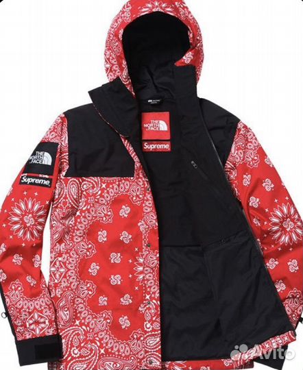 Ветровка Supreme x The North Face