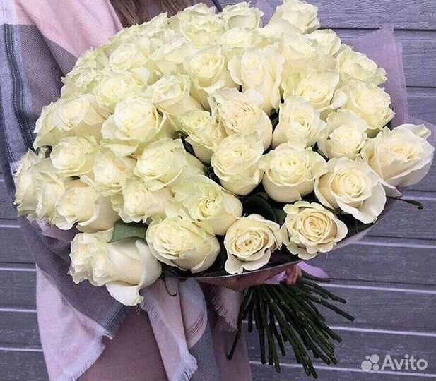 51 Роза, Букеты Цветы Розы 25 101 501 1001