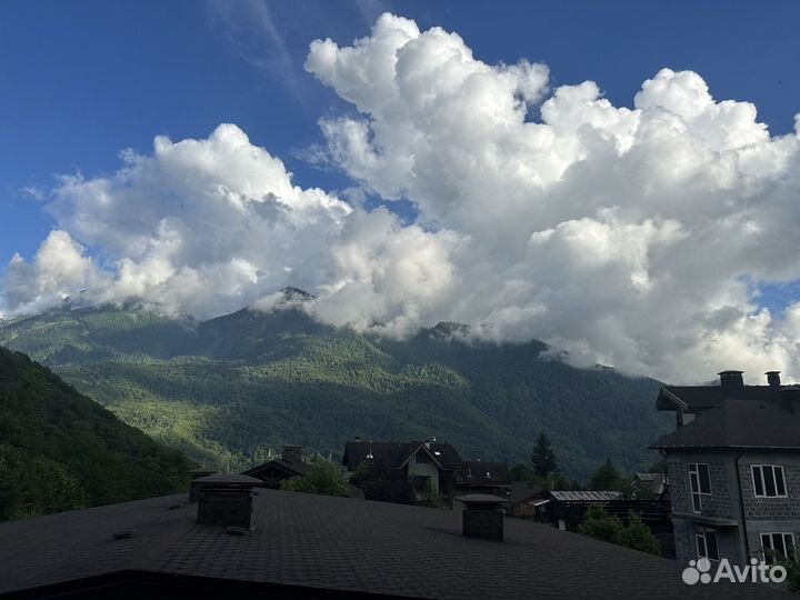 Свой человек в сочи