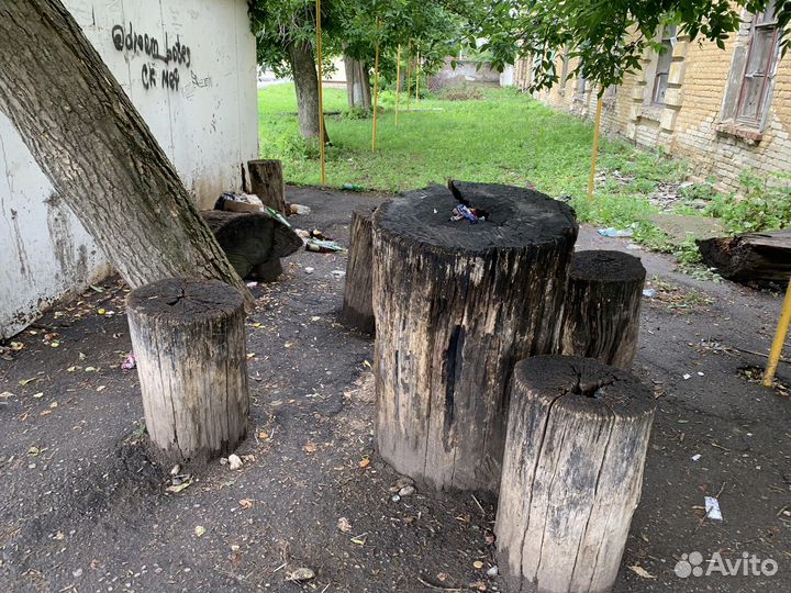 Дубовые пни