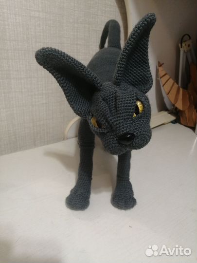 Сфинкс,которого не надо кормить