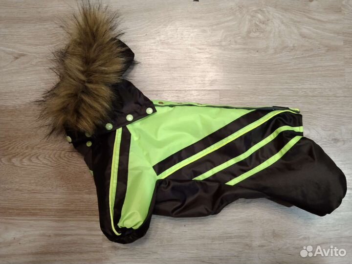 Шью комбинезоны для собак