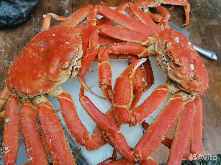 Краб стригун