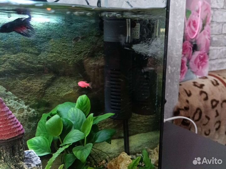 Фильтр для аквариума
