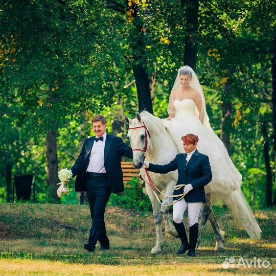 Свадьба под ключ:организация, декор,банкет, звук