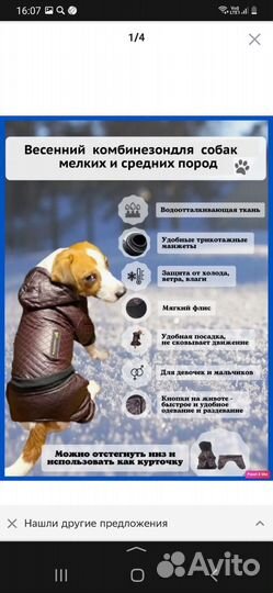 Комбинезон для собаки