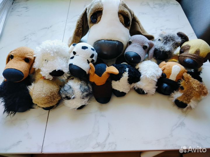 The dog collection