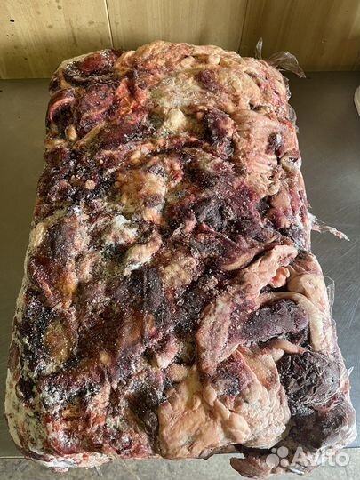 Мясо для собак Говядина Натуральный корм