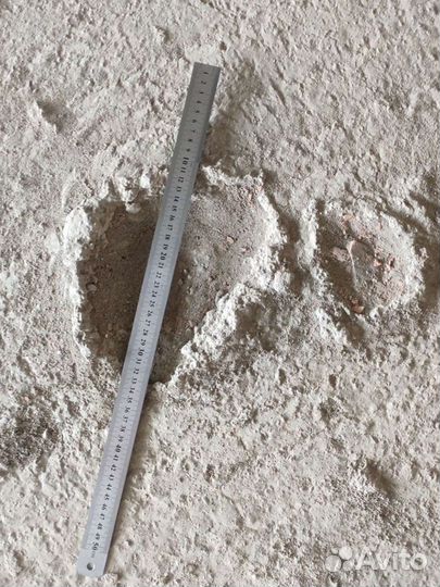 Приемка квартир