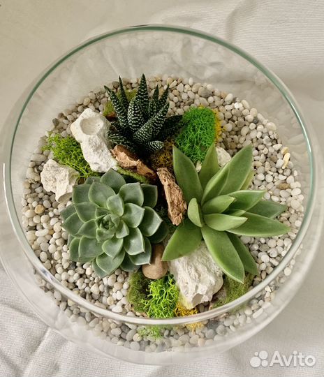 Флорариум Лесной уют