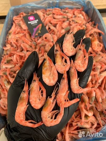 Креветки Северные
