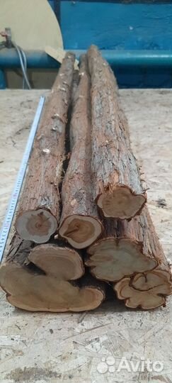 Природный антисептик