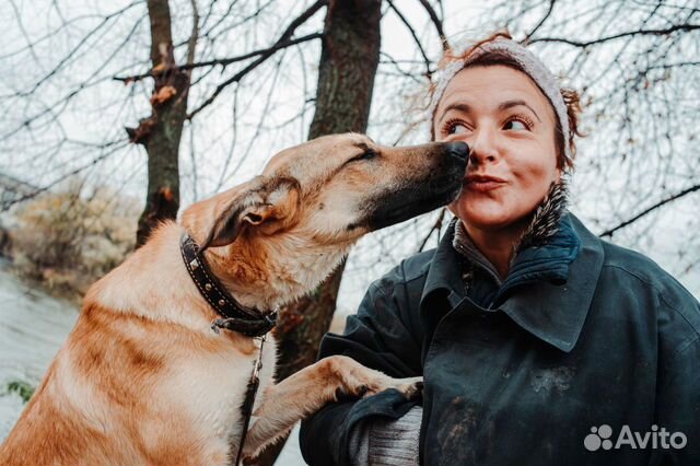 Выгулять собаку
