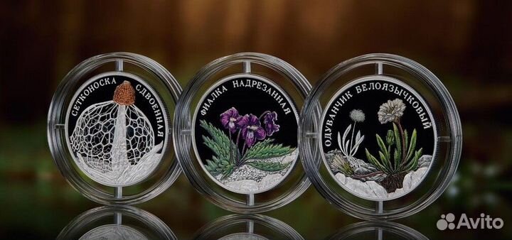 Серебряные монеты 