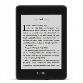 Amazon Kindle Paperwhite 4 (10 gen) 2023