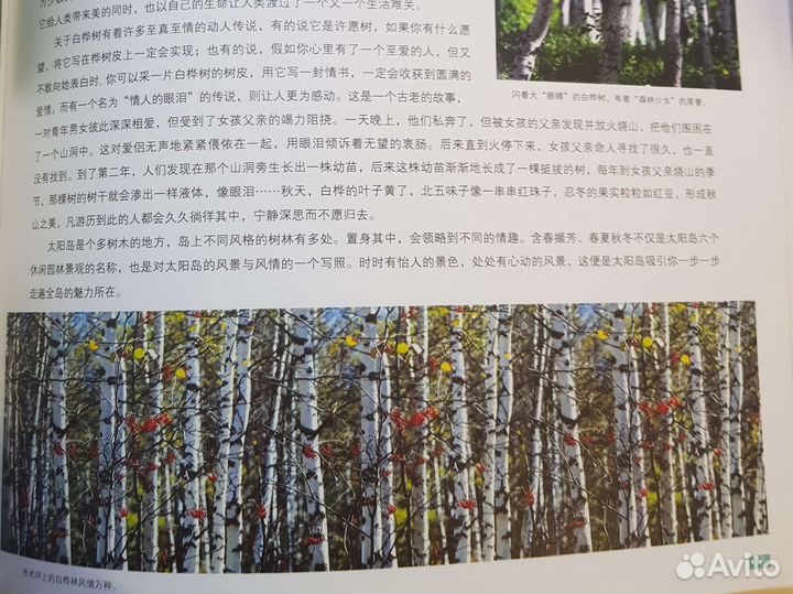 Фотокнига Sun Island парк солнца Харбин