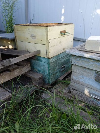 Улей для пчел