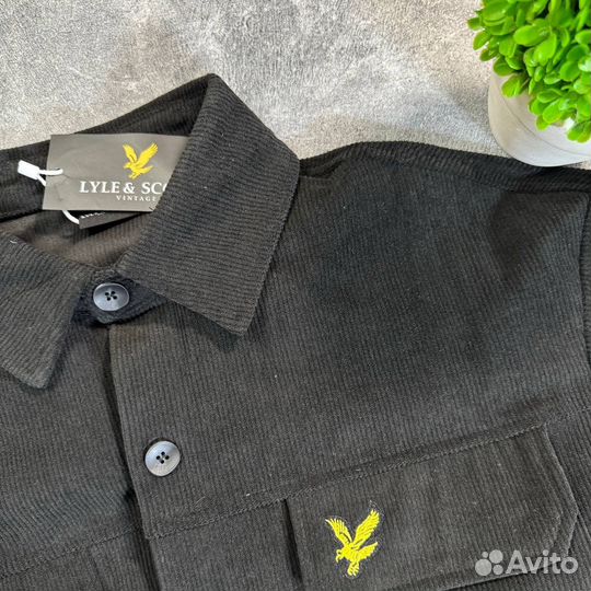 Рубашка вельветовая Lyle scott (s-2xl)