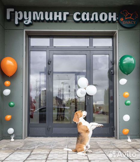 Стрижка собак и кошек