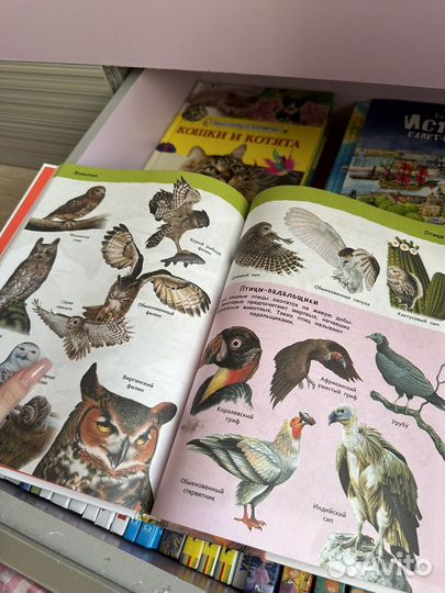 Большая книга энциклопедия с иллюстрациями