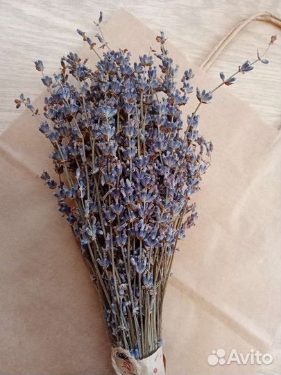 Крымская лаванда